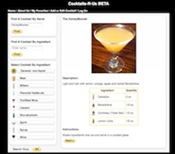 correct look and feel cocktailsrus.com